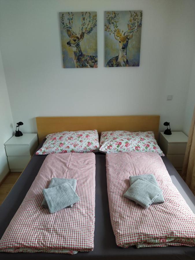 Appartment Dutzler Занкт-Мартін-ам-Тенненґебірґе Екстер'єр фото